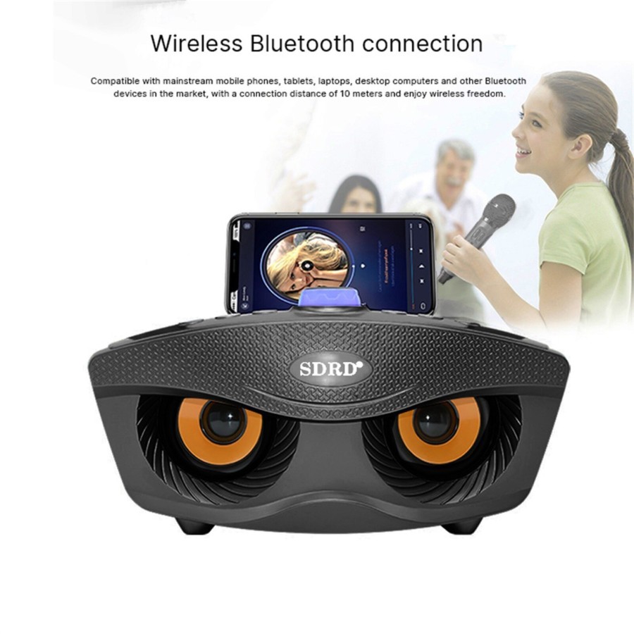 SPEAKER BLUETOOTH KARAOKE SDRD SD-306 - ORYGINAL + DUAL Microphone
