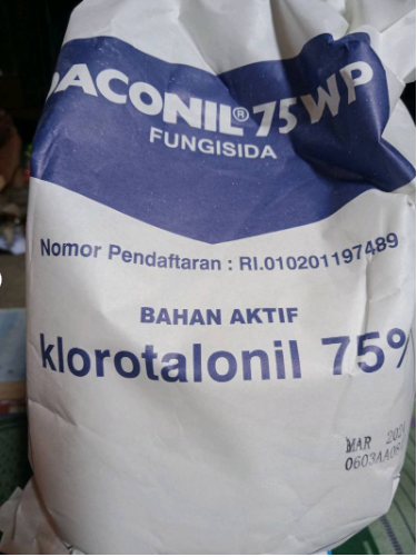 Iplar bilan yalangoch panties fotosuratlari Katta yoshli ayollar bilan jinsiy aloqa: haqiqiy uy qurilishi video